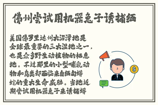 成都搡BBBB搡BBBB